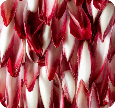 Aprofitament d’estiu: Comida potxa al Garraf