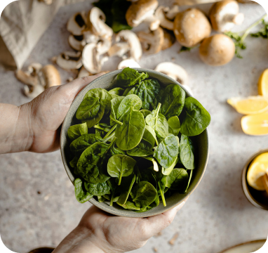 El cicle infinit de la vida i la mort